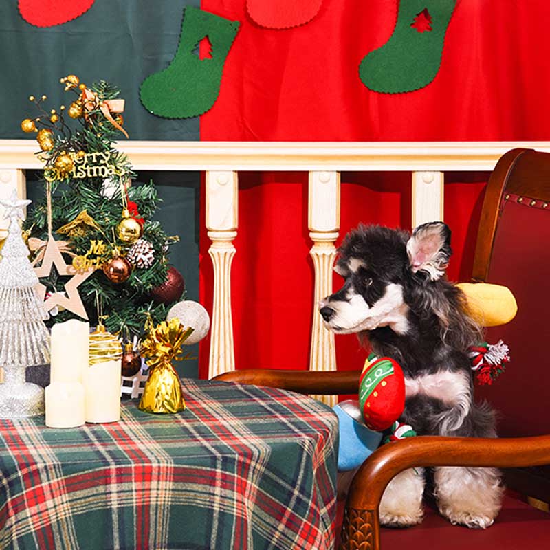 HugSmart Happy Woofmas — Christmas Light Dog Toy - CreatureLand