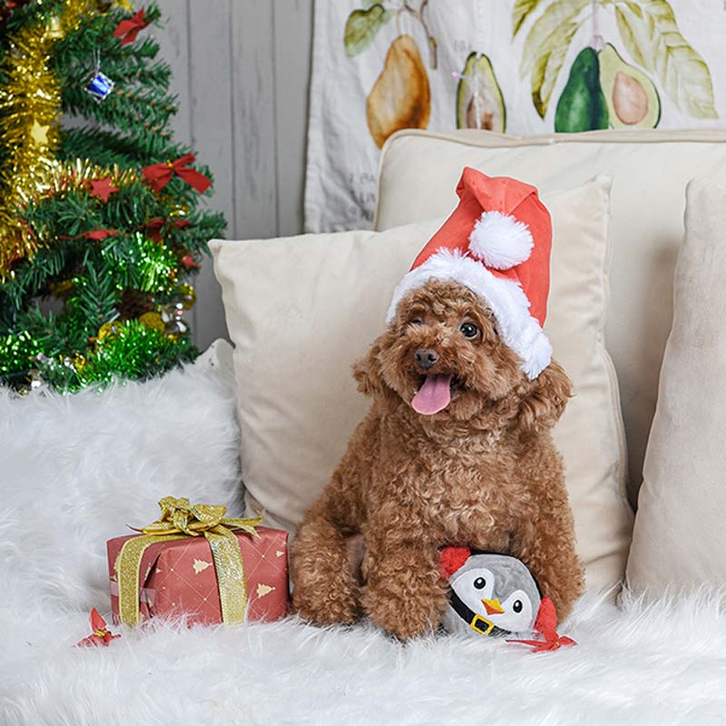HugSmart Happy Woofmas – Penguin Squeaker Toy - CreatureLand