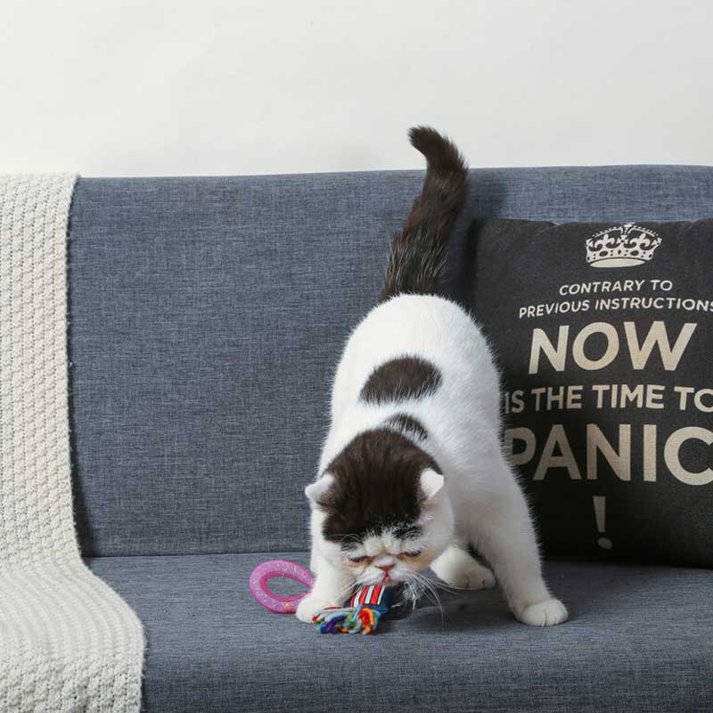 HugSmart Kitten Party Meow Buddies Catnip Toy - Popcorn - CreatureLand