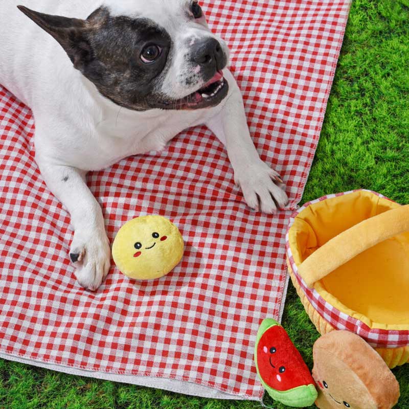 HugSmart Picnic Basket Puzzle Hunting Toy - CreatureLand
