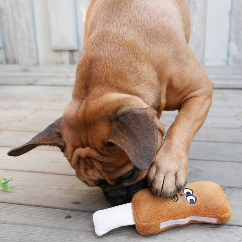 Hunting Market Hunting Market Power Up Rib Toy - CreatureLand