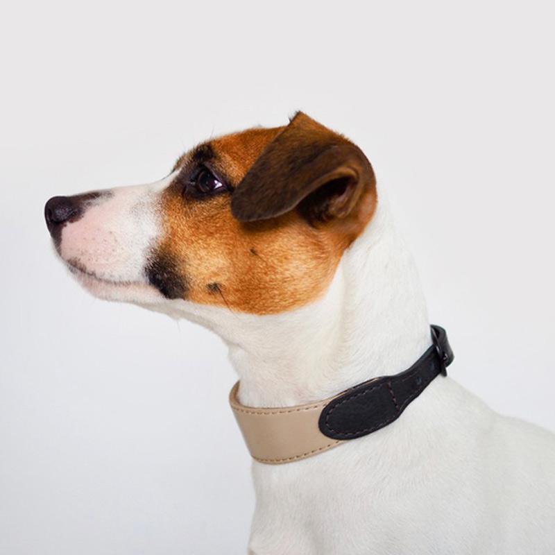 Hunting Pony KNOTCONI LEATHER DOG COLLAR - BROWN - CreatureLand