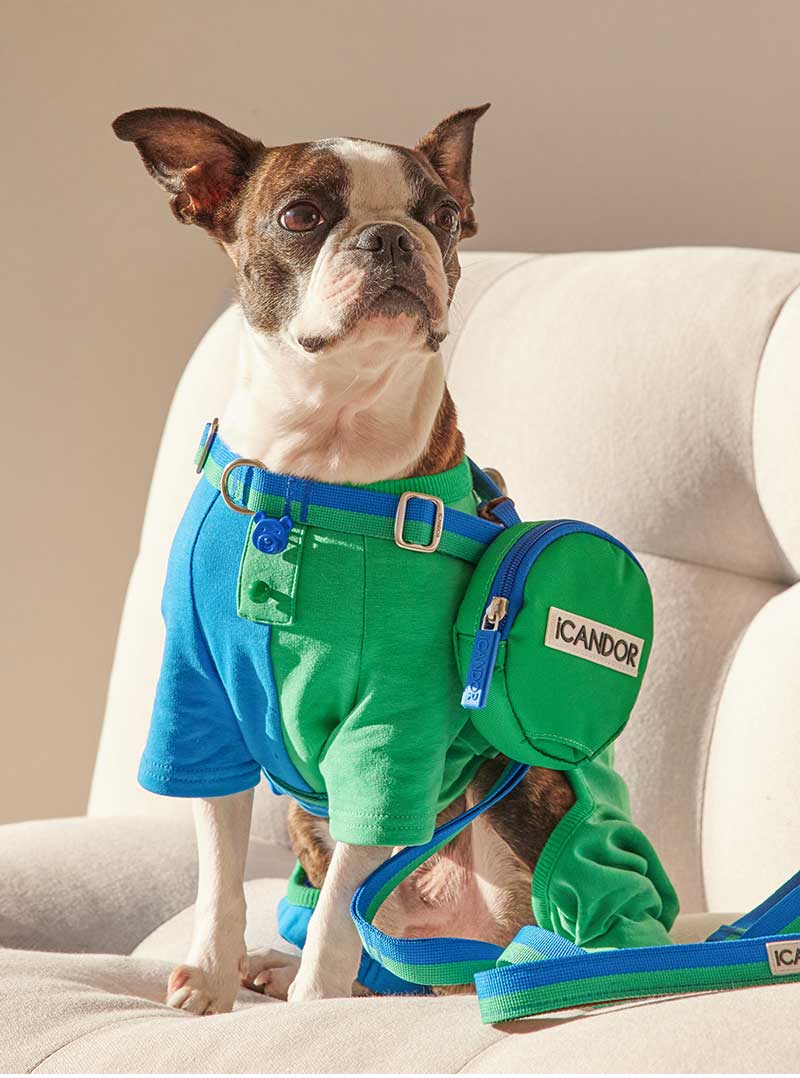 iCandor Dingle Dangle Poop Bag Carrier - Forest - CreatureLand