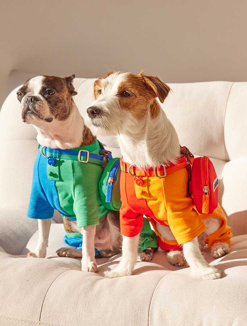 iCandor Dingle Dangle Poop Bag Carrier - Sunset - CreatureLand