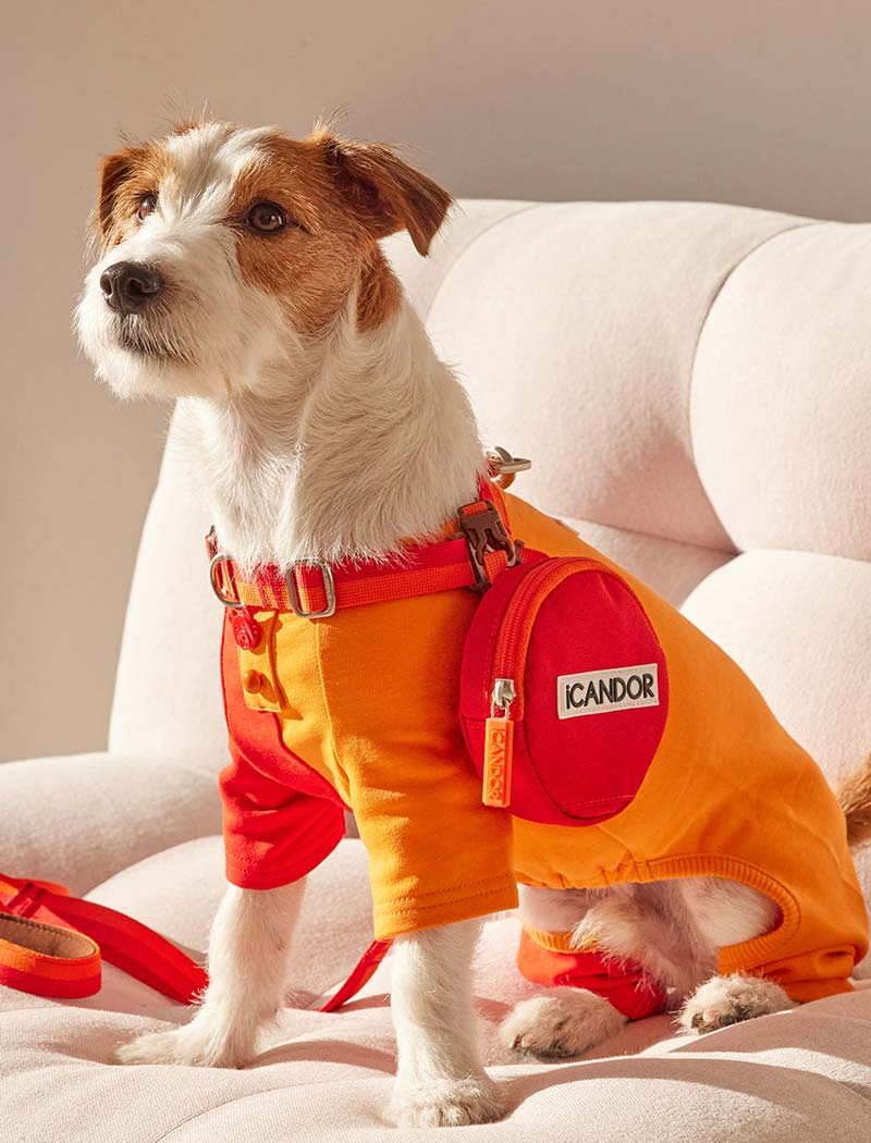 iCandor Dingle Dangle Poop Bag Carrier - Sunset - CreatureLand