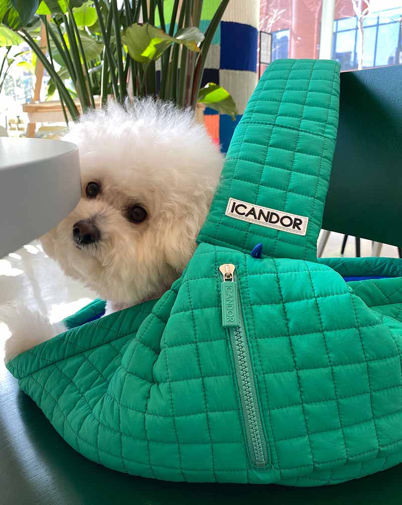 iCandor Dumpling Bag - Lettuce Green - CreatureLand