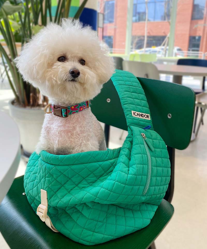 iCandor Dumpling Bag - Lettuce Green - CreatureLand