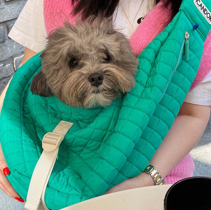 iCandor Dumpling Bag - Lettuce Green - CreatureLand