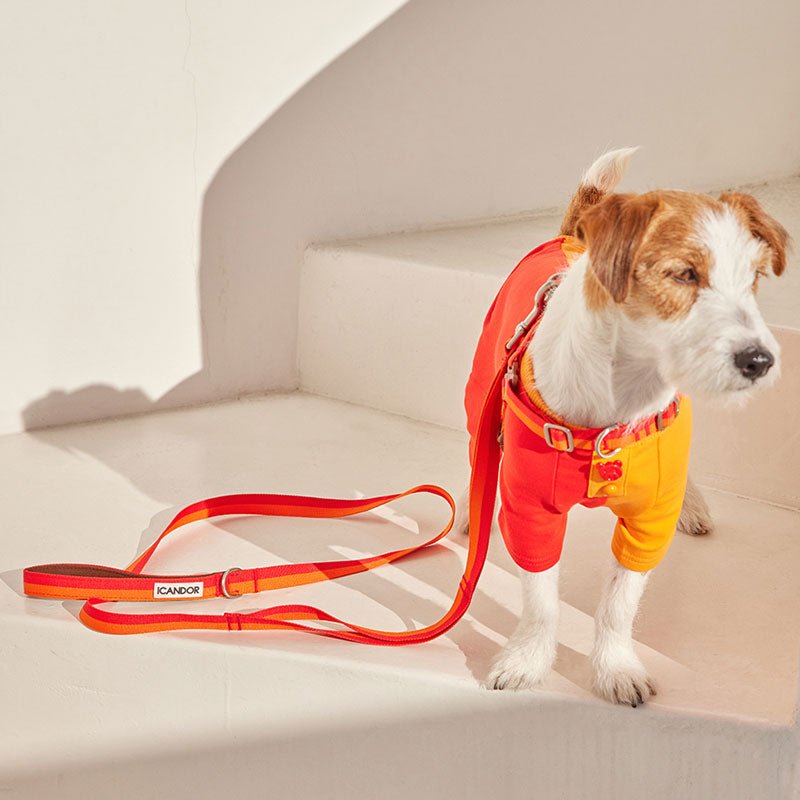 iCandor Gentle Leash - Sunset - CreatureLand