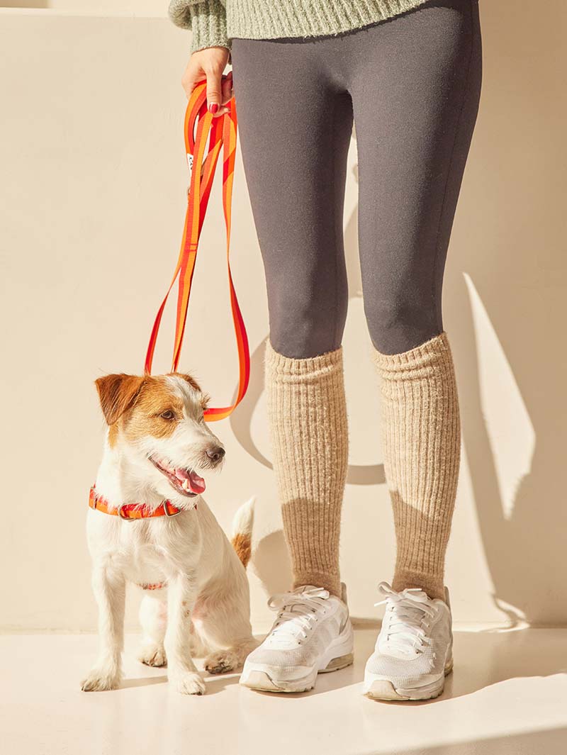 iCandor Gentle Leash - Sunset - CreatureLand