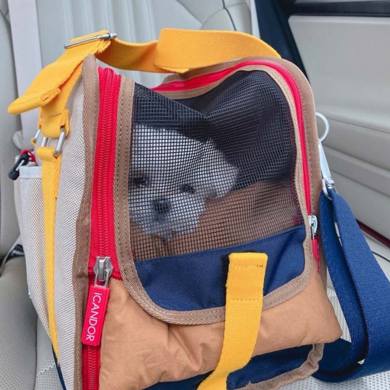 iCandor iBag Pet Carrier - Sassy Cream (2 Sizes) - CreatureLand