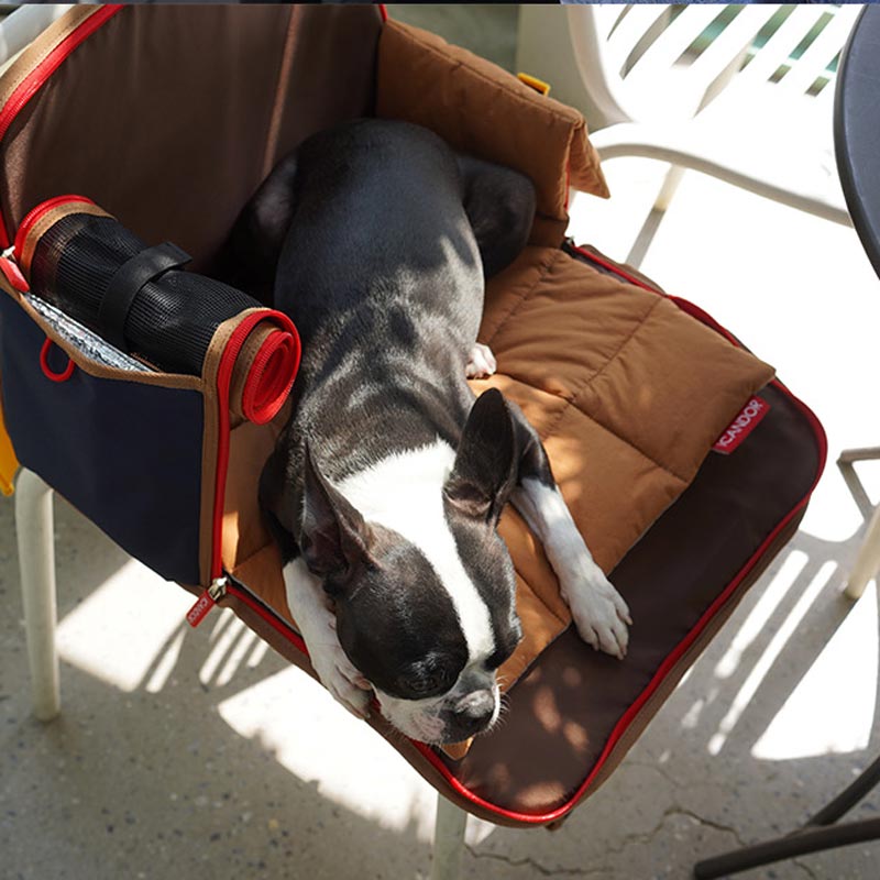 iCandor iBag Pet Carrier - Sassy Cream (2 Sizes) - CreatureLand