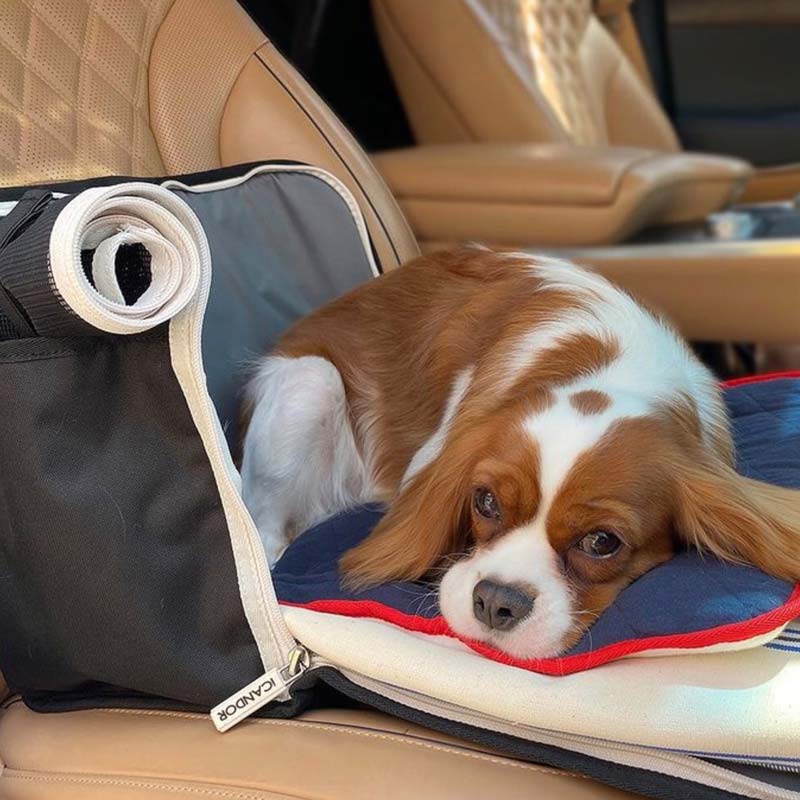 iCandor iBag Pet Carrier - Sassy Cream (2 Sizes) - CreatureLand