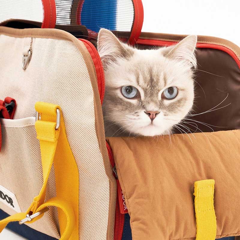 iCandor iBag Pet Carrier - Sassy Cream (2 Sizes) - CreatureLand