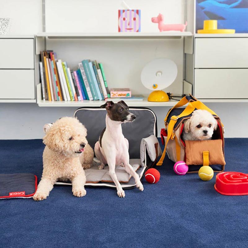 iCandor iBag Pet Carrier - Sassy Cream (2 Sizes) - CreatureLand