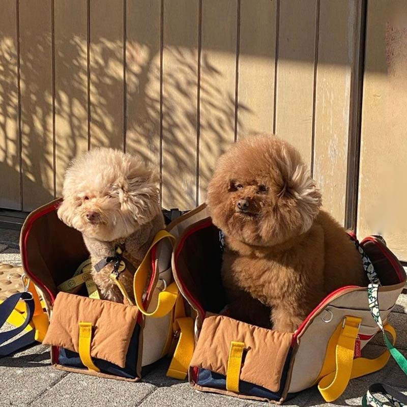 iCandor iBag Pet Carrier - Sassy Cream (2 Sizes) - CreatureLand