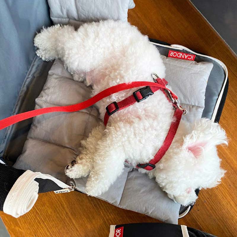 iCandor iBag Pet Carrier - Shy Navy (2 Sizes) - CreatureLand