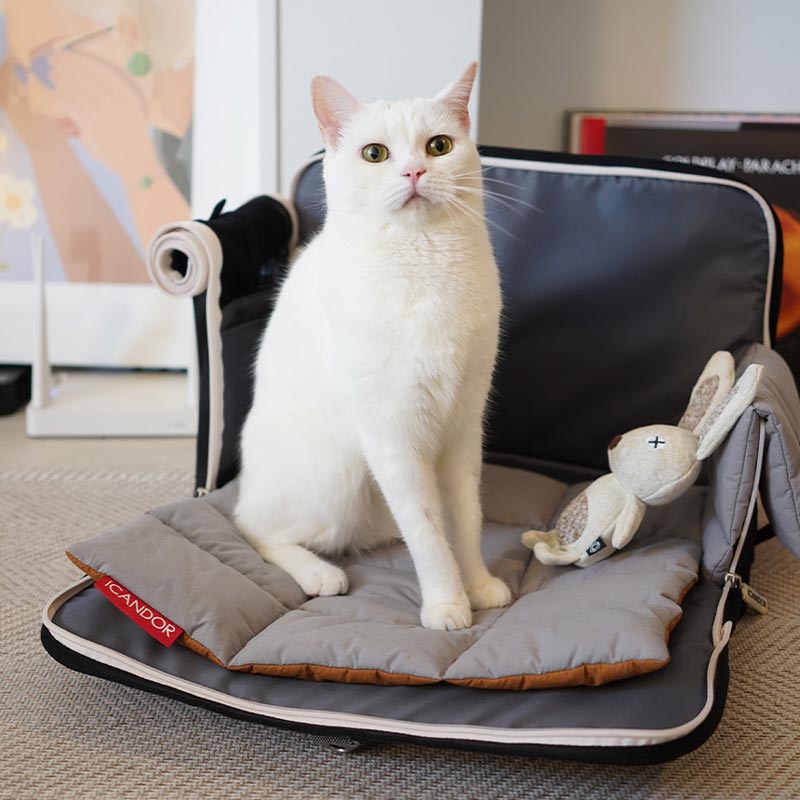 iCandor iBag Pet Carrier - Shy Navy (2 Sizes) - CreatureLand