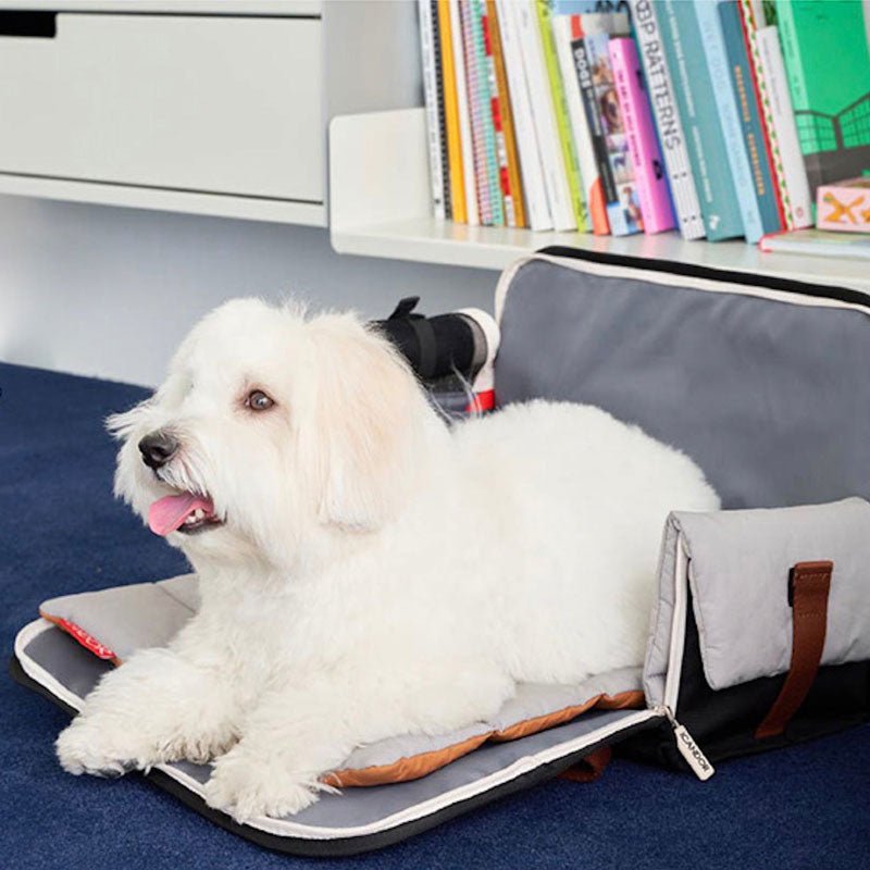 iCandor iBag Pet Carrier - Shy Navy (2 Sizes) - CreatureLand