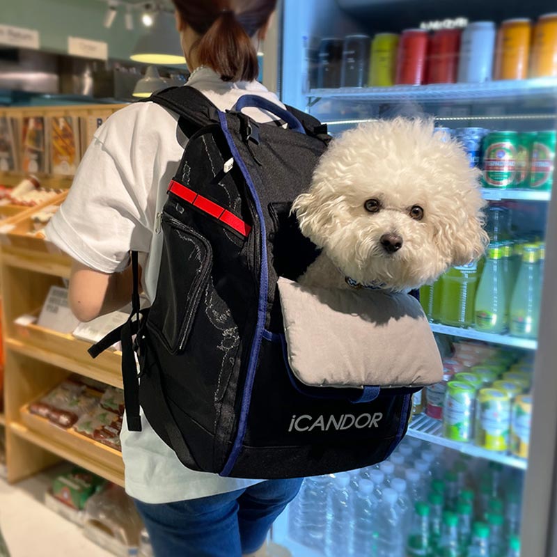 iCandor Jige pet backpack - Dynamic Black (2 Sizes) - CreatureLand