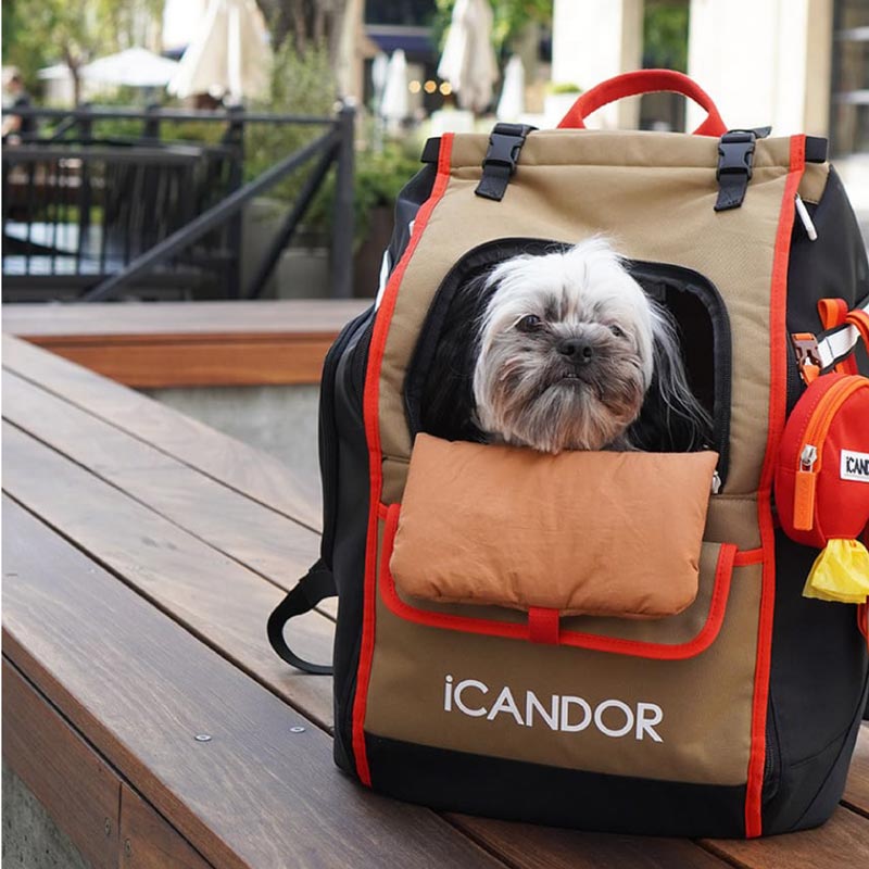 iCandor Jige pet backpack - Vivid Khaki (2 Sizes) - CreatureLand