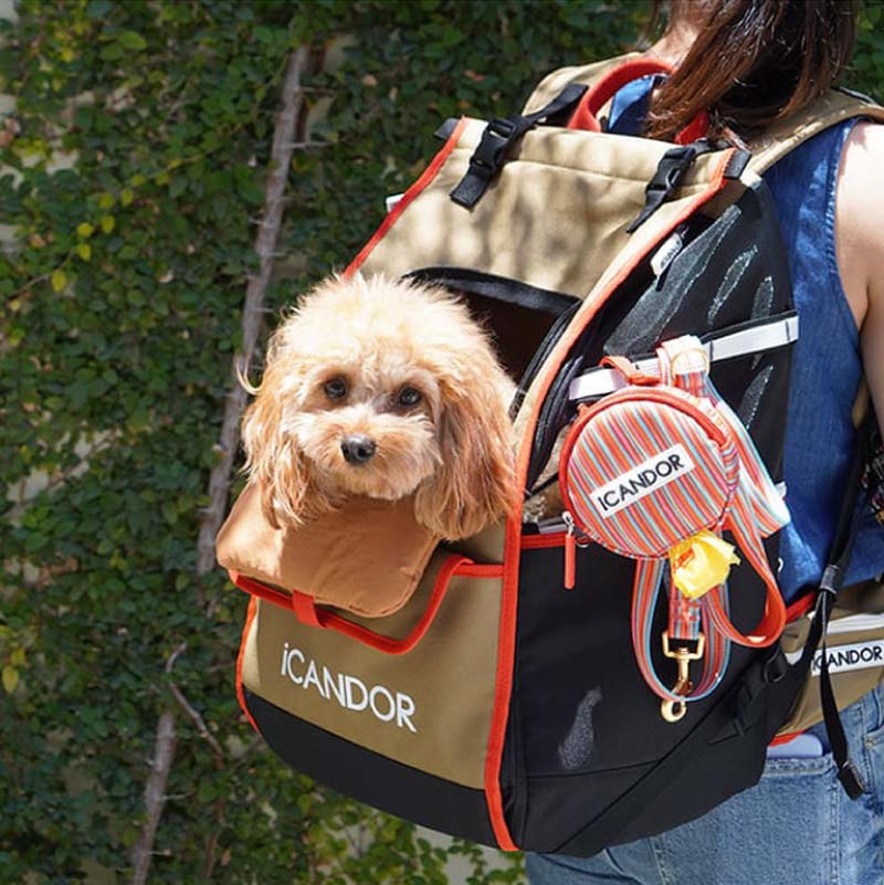 iCandor Jige pet backpack - Vivid Khaki (2 Sizes) - CreatureLand