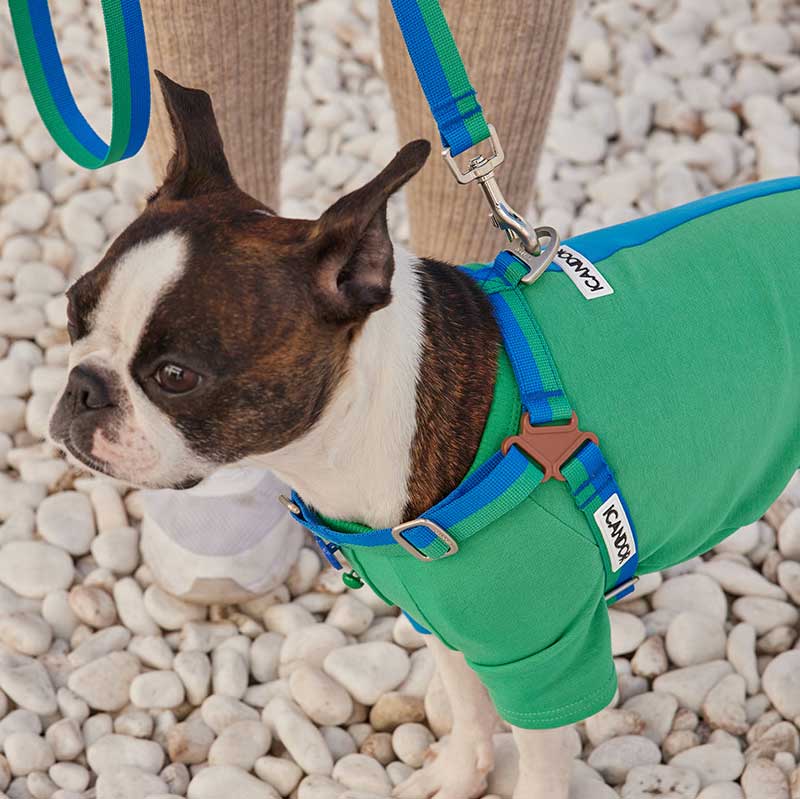 iCandor No-Pull Harness - Forest - CreatureLand