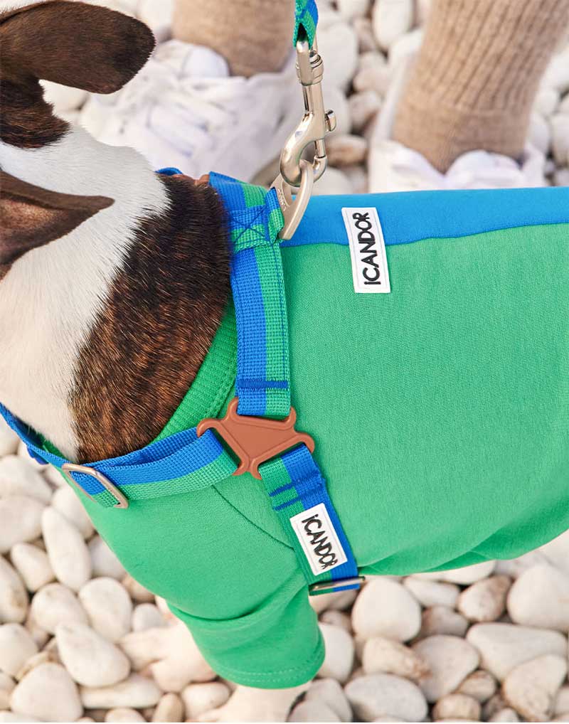 iCandor No-Pull Harness - Forest - CreatureLand