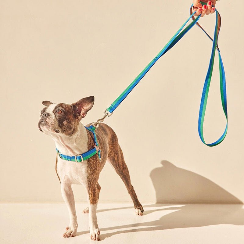 iCandor No-Pull Harness - Forest - CreatureLand