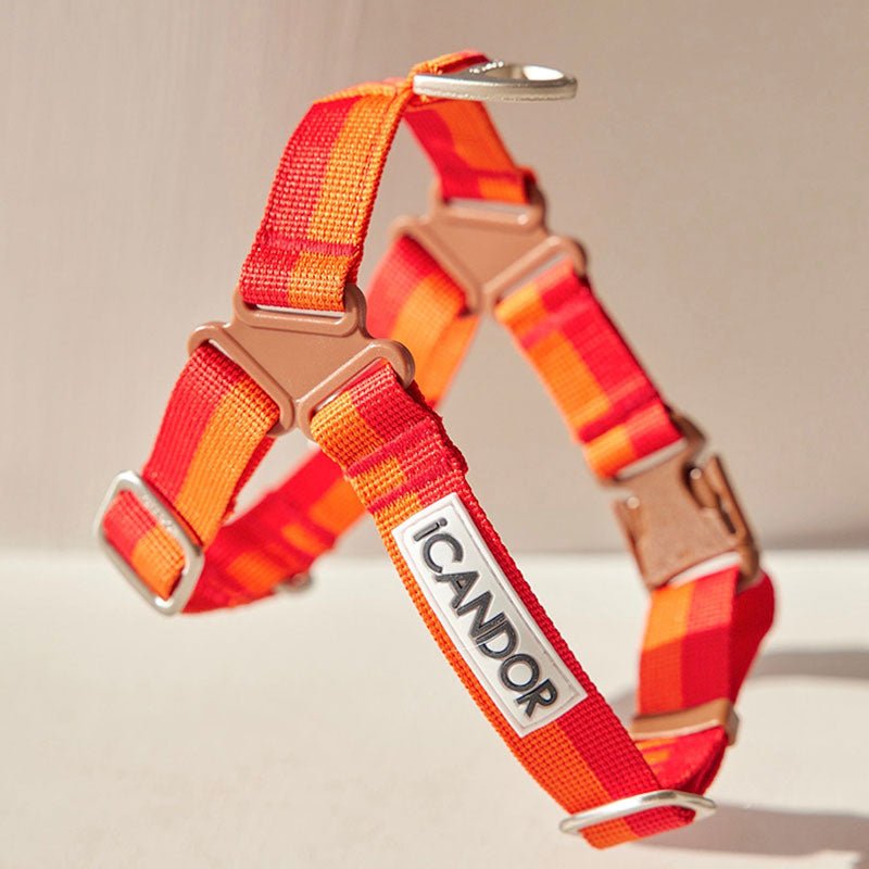 iCandor No-Pull Harness - Sunset - CreatureLand