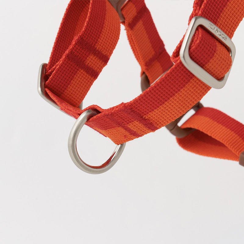 iCandor No-Pull Harness - Sunset - CreatureLand