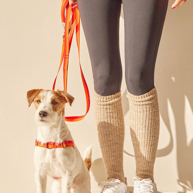 iCandor No-Pull Harness - Sunset - CreatureLand