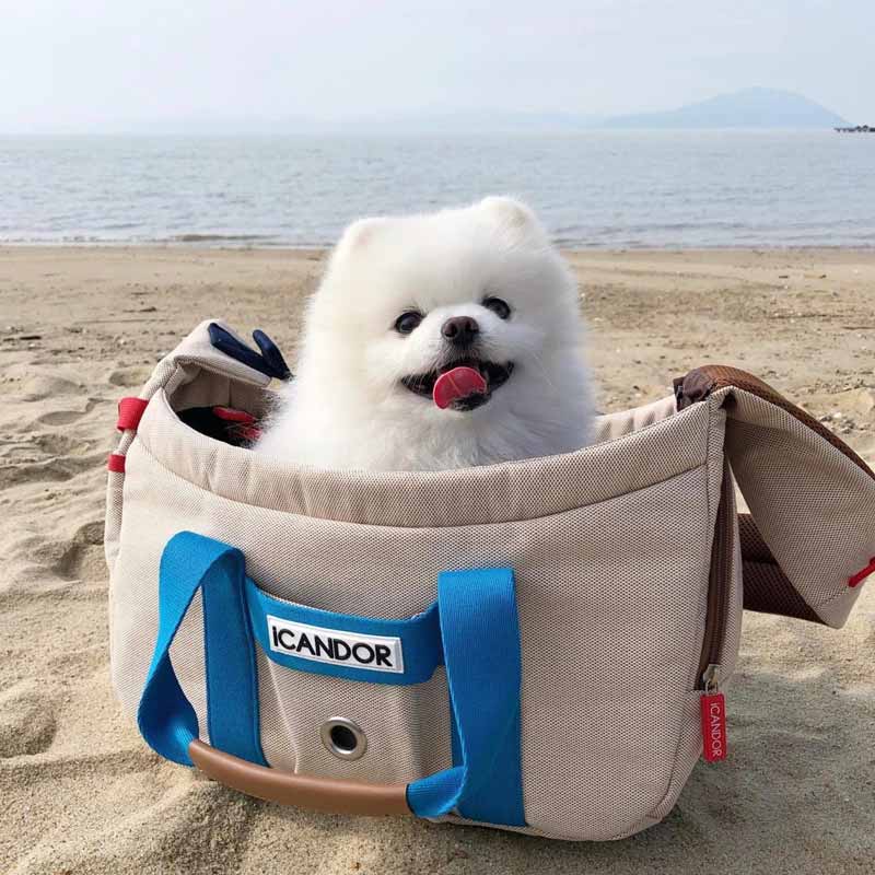 iCandor Peek-a-boo Pet Carrier - Melting Cream (2 Sizes) - CreatureLand