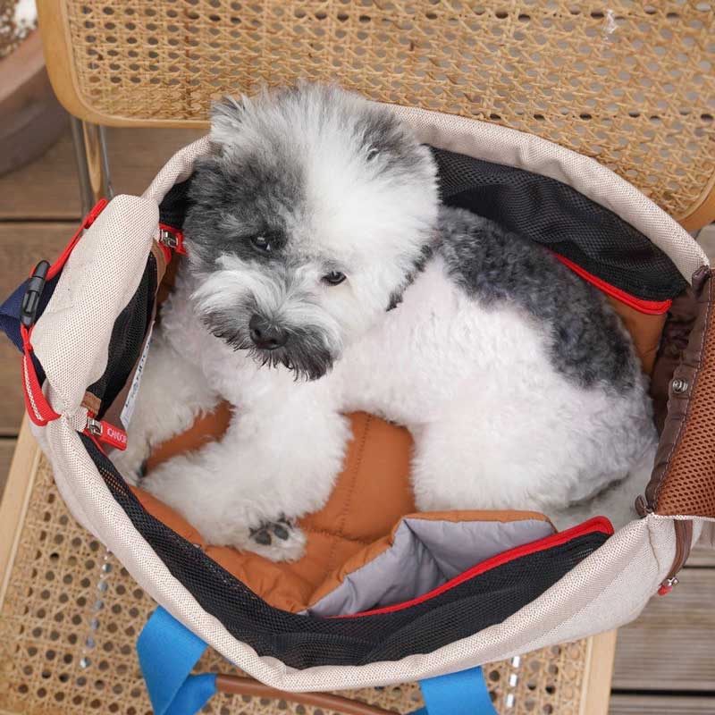 iCandor Peek-a-boo Pet Carrier - Melting Cream (2 Sizes) - CreatureLand