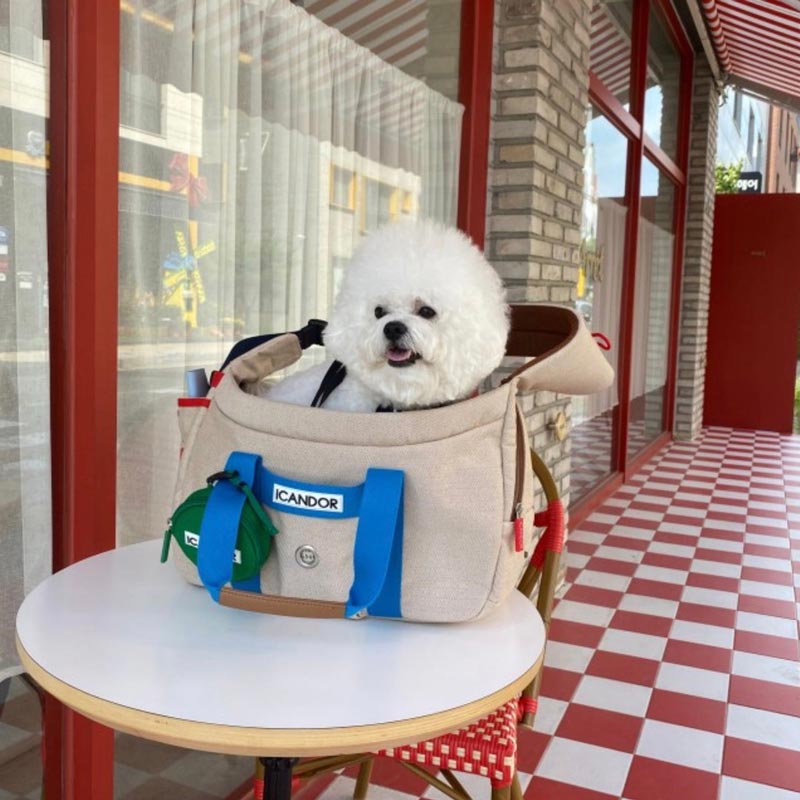 iCandor Peek-a-boo Pet Carrier - Melting Cream (2 Sizes) - CreatureLand