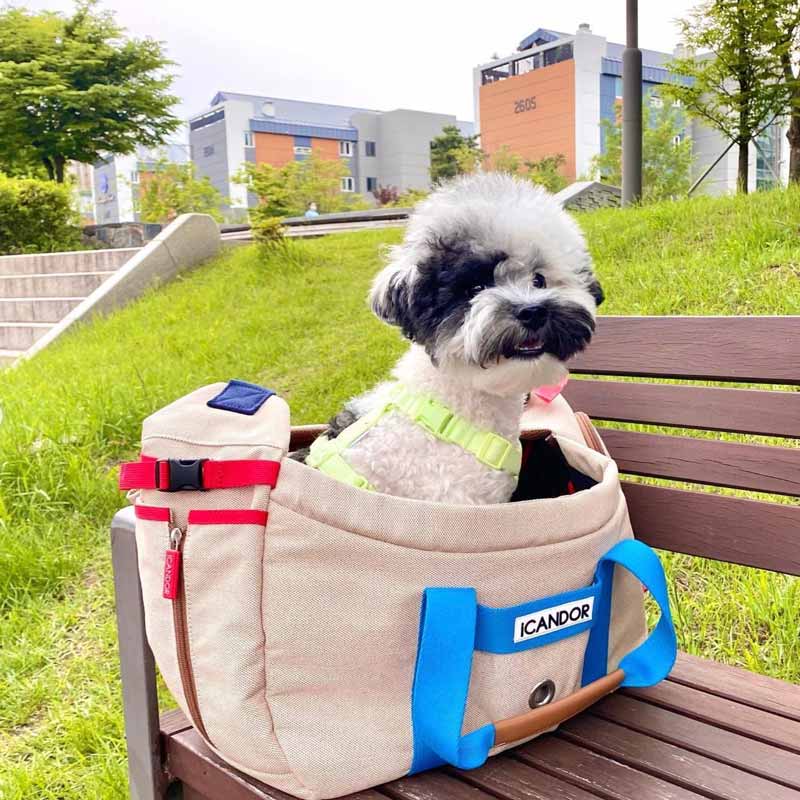 iCandor Peek-a-boo Pet Carrier - Melting Cream (2 Sizes) - CreatureLand