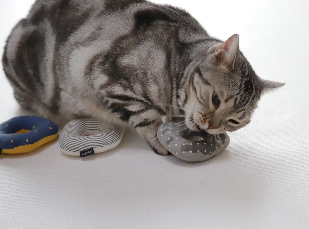Inherent Catnut Catnip Toy (4 Colours) - CreatureLand