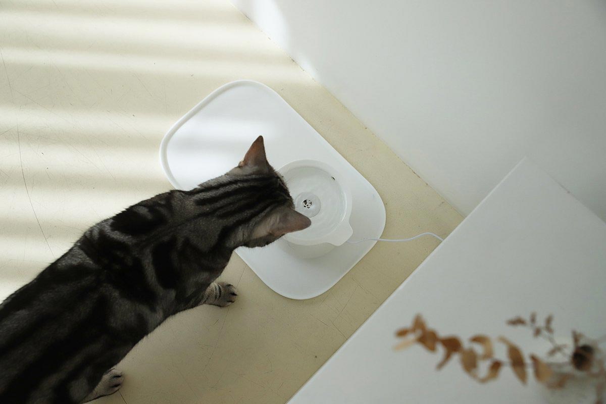 Inherent Mug Water Fountain - CreatureLand
