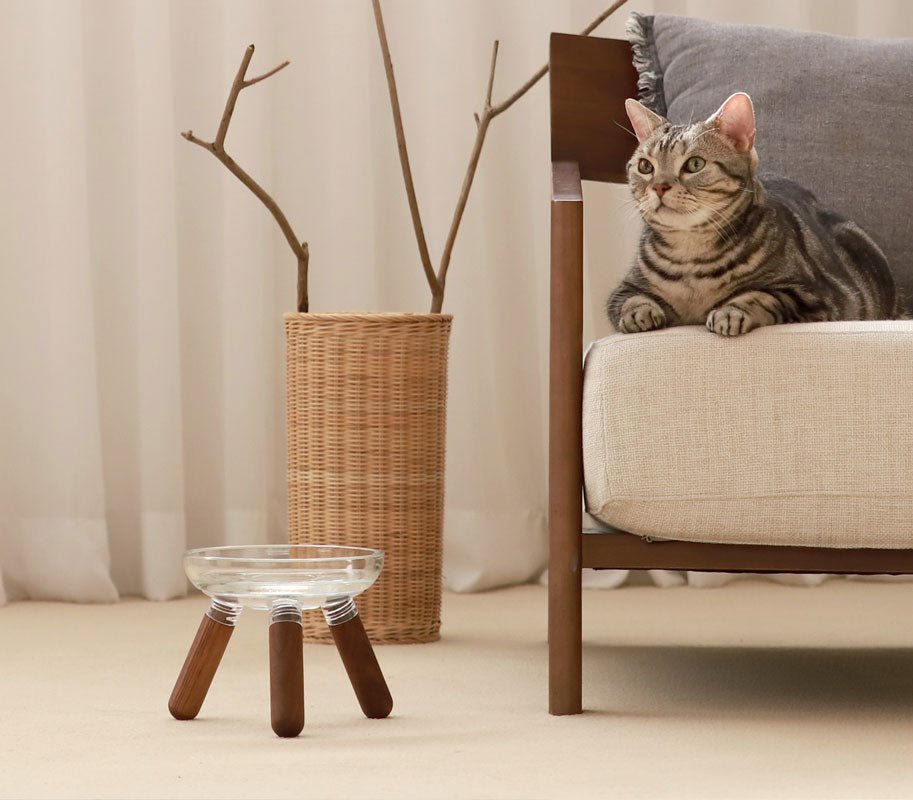 Inherent Oreo Glass Beech Walnut - Short - CreatureLand