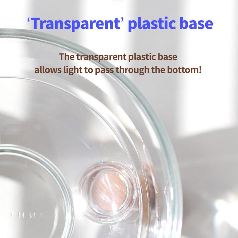 Inherent Oreo Glass Beech Wood - Short - CreatureLand