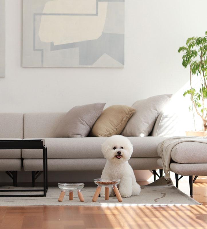 Inherent Oreo Glass Beech Wood - Short - CreatureLand