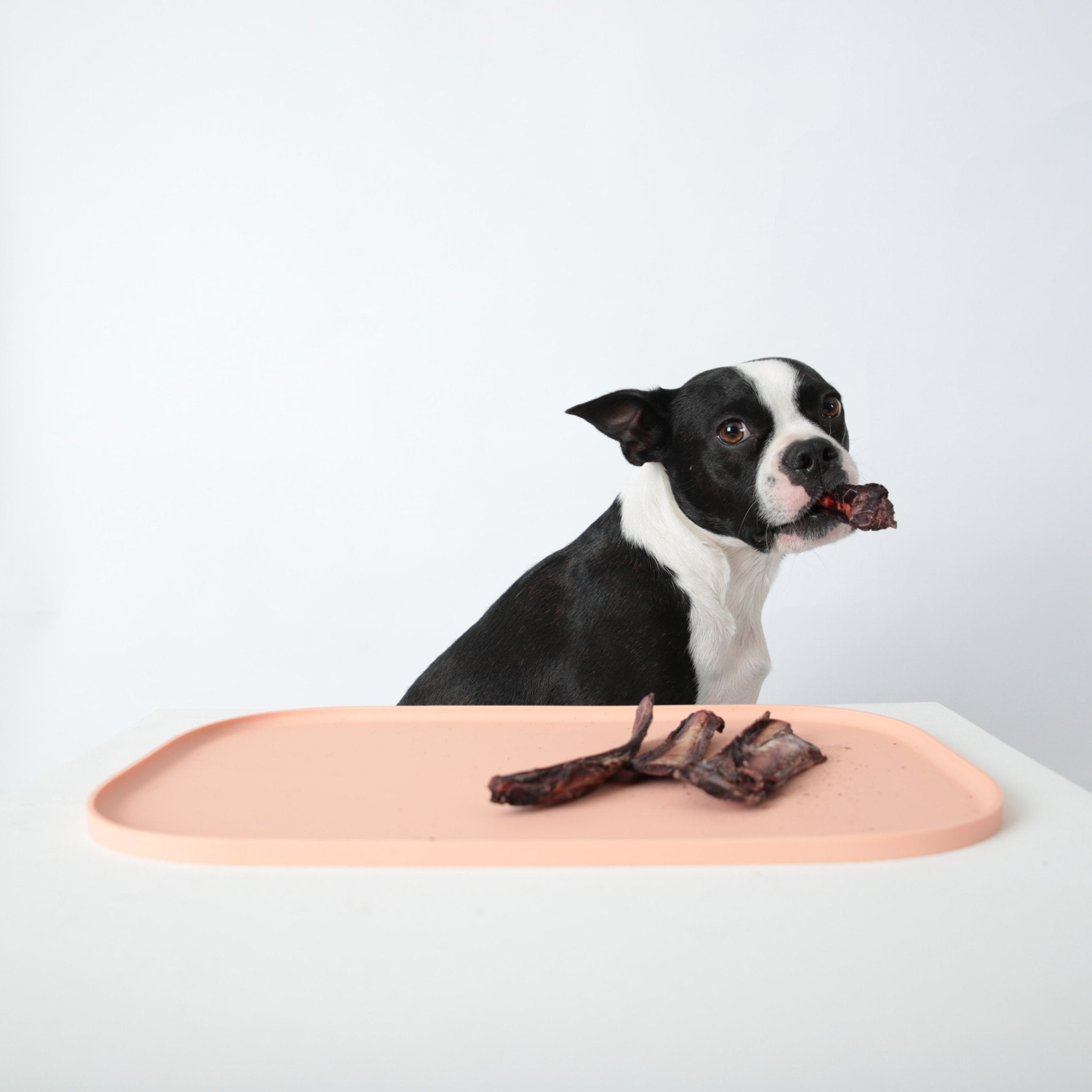 Inherent Oreo Mat - Pink - CreatureLand