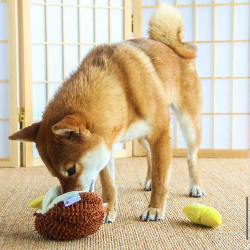 Kashima Durian Pet Toy - CreatureLand