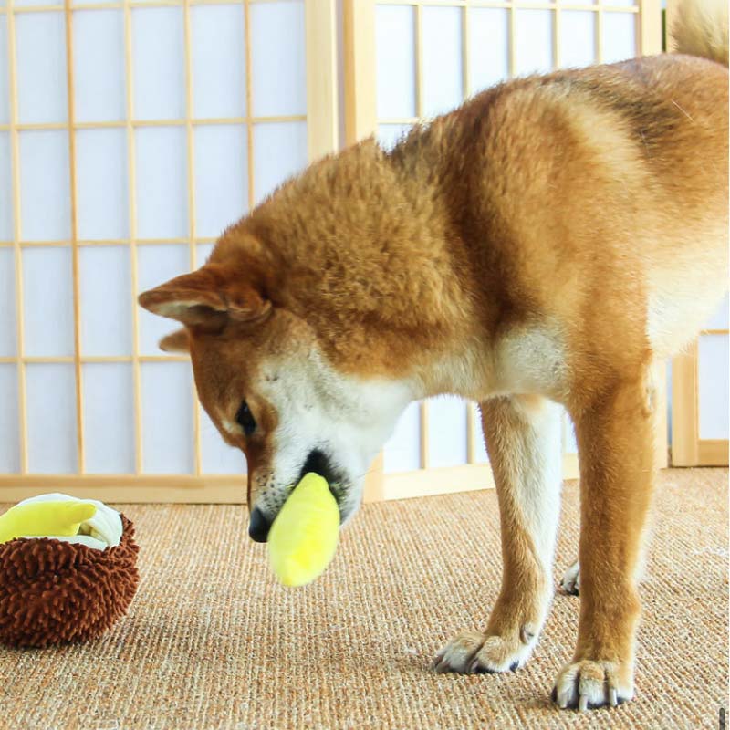 Kashima Durian Pet Toy - CreatureLand