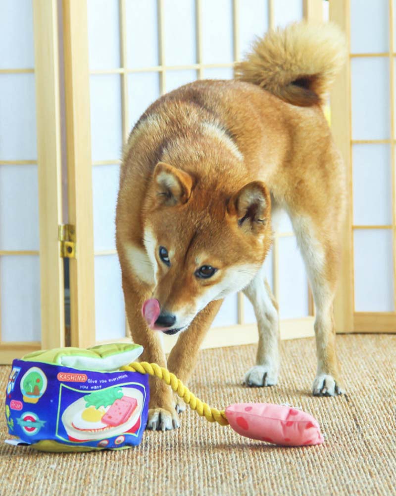 Kashima Luncheon Meat Can Nose Work Pet Toy - CreatureLand