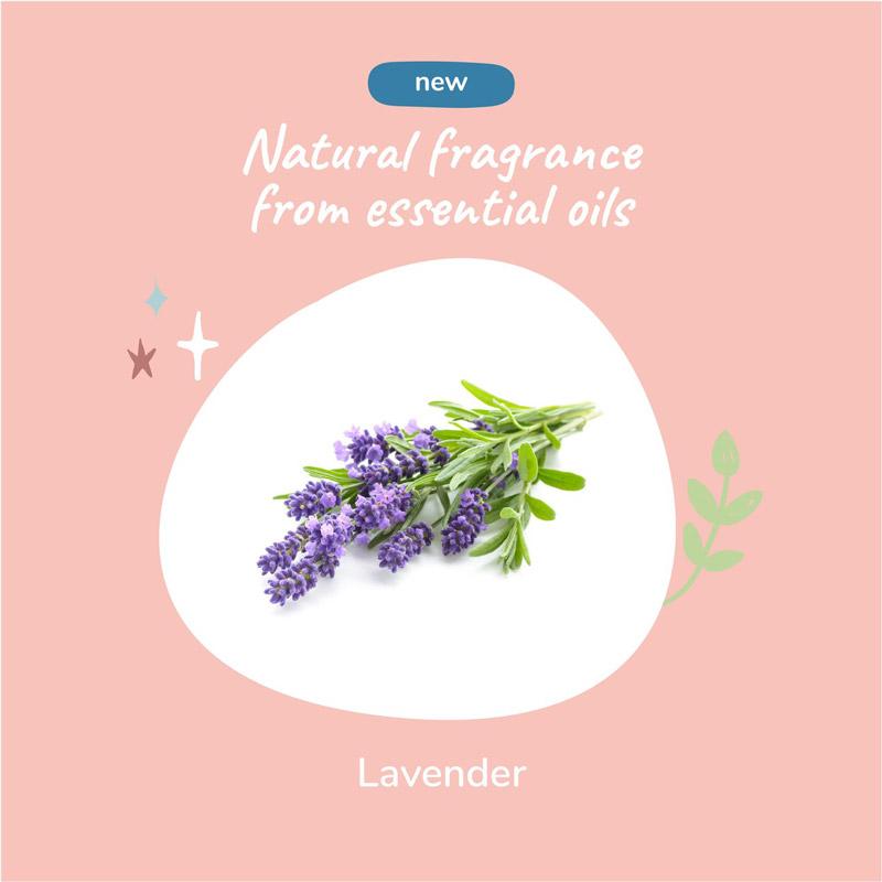 Kin+Kind Calming Lavender Waterless Foaming Shampoo For Dogs and Cats- 236ml - CreatureLand