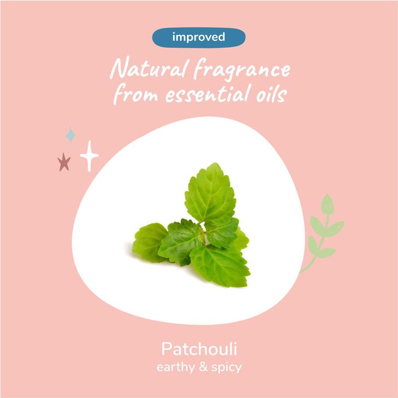 Kin+Kind Charcoal Deep Clean Shampoo For Dogs (Patchouli) - 354ml - CreatureLand