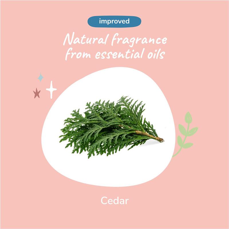 Kin+Kind Dry Skin & Coat Shampoo For Dogs (Cedar) - 354ml - CreatureLand