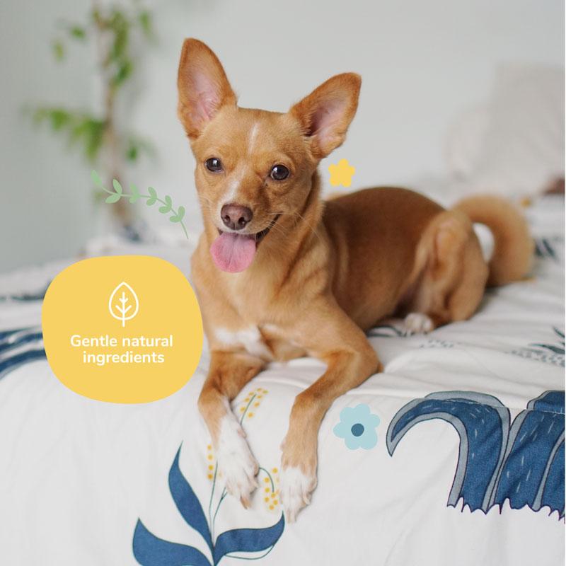 Kin+Kind Lavender Coat Spray For Dog & Cat Smells - 354ml - CreatureLand