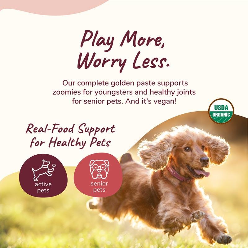 Kin+Kind Organic Healthy Hip & Joint Dog and Cat Supplement - CreatureLand